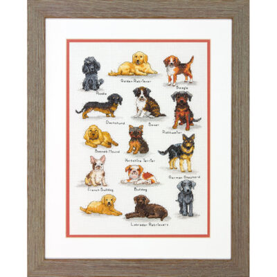 70-35353 • Набор для вышивания крестом "Собачий каталог" • "Dog Sampler" DIMENSIONS