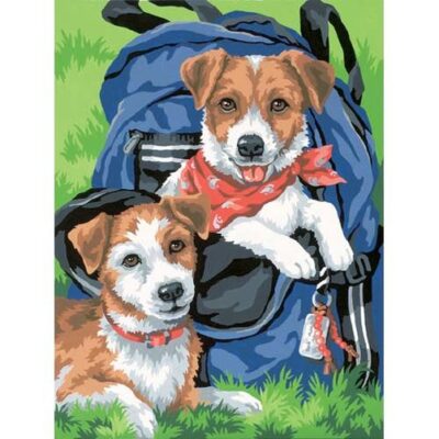 91150 • Набор для рисования красками по номерам "Рюкзак для друзей" • "Back Pack Buddies" Dimensions Paint Works