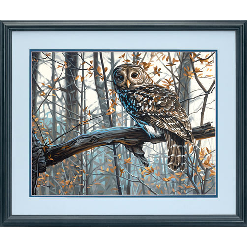 73-91428 • Набор для рисования красками по номерам "Мудрая сова" • "Wise Owl" Dimensions Paint Works