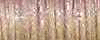 1/16" Ribbon (5550) 10m Kreinik