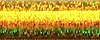 Very Fine #4 Braid (028L) 11м Kreinik
